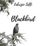 Blackbird