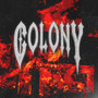 COLONY (Explicit)