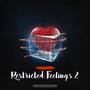 Restricted Feelings 2 (Explicit)