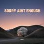 Sorry Ain't Enough (Explicit)