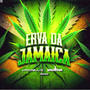 ERVA DA JAMAICA (vip)