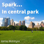 Spark in Central Park