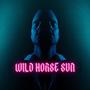 Wild Horse Sun