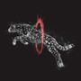 Through Fire (Explicit)