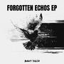 Forgotten Echos EP