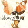 Slowblow