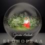 Elohopeaa