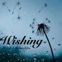 Wishing (Explicit)