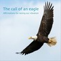 The Call of an Eagle- Affirmations for Raising Our Vibration