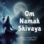 Om Namah Shivaya