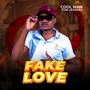 Fake love