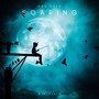 Soaring (Explicit)