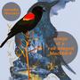 Songs of A Red-Winged Blackbird