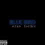 BLUE BIRD (feat. TiDETRUE) [Explicit]