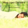 Musica per dormire della foresta - pioggia rilassante, rumore del vento e delle foglie, temporale in lontananza