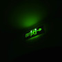 Backdoors / N.M. (Explicit)