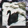 BLACK SWAN (feat. MELT, Dreary & Lil Moke) [Explicit]