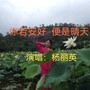 你若安好 便是晴天（杨丽英版）