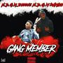 Gang Member (feat. Ndgm Smoove) [Explicit]