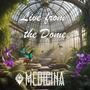 Live from the Dome (Explicit)