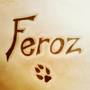 FEROZ