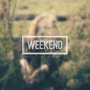 Weekend