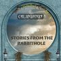 Stories From The Rabbithole