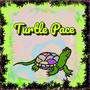 Turtle Pace