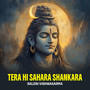 Tera Hi Sahara Shankara
