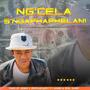 Ng'cela S'ngaphaphelani (feat. Royaldeejayz, Nkabi, RealSmart & Ishuu_twinz)