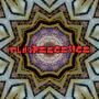 Fluorescence (Explicit)