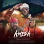 Ameda (feat. Mc Bible & Kelvinklin)