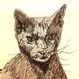 Yellow eyes