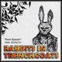 Palm Reader (feat. Bunch) [Explicit]