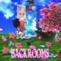 Backrooms ∞ (feat. aestheticandy) [Explicit]