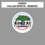 Fallen Spirits - Remixes