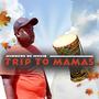 Trip To Mamas (Explicit)