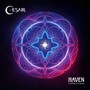 Haven: Reflections