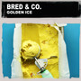 Golden Ice (Nu Ground Foundation Mixes)