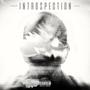 Introspection (Explicit)