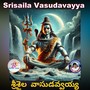 Srisaila Vasudavayya