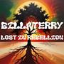 LOST IN REBELLION