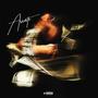 Assest (Explicit)