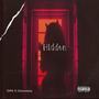 Hidden (Explicit)