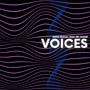 Voices (Extended Mix) [feat. Mr.JunioR]