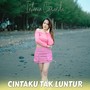 Cintaku Tak Luntur