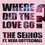 Where Did the Love Go? (feat. Vera Gottschall)