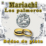 Bodas de Plata