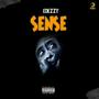 Sense (Explicit)