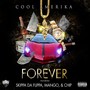 Forever (feat. Skippa da Flippa, Mango & Chip) [Explicit]